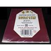 docsmagic.de 100 Resealable Outer Bags for 12 33rpm Vinyl Records Clear 3 Mil - Disco in Vinile Bustine Transparente