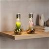 levandeo Set di 4 piante grasse in vetro, 8 x 13 cm, coperchio a LED, bianco caldo, con manico, decorazione da tavolo, lampada a sospensione