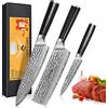 oFuun Set Coltelli da Cucina Professionali 20 Lame, 3 Pezzi Coltello Giapponese Damasco 67 Strati, Coltelli da Chef, Gyuto Santoku Nariki, Coltelli Universali Perverdure, Pesce, Carne, Frutta