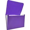 Raylu Paper® - Cartella classificatrice a fisarmonica per documenti a 12 scomparti, raccoglitore in plastica opaca con divisori per ufficio (Viola)