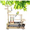 xixibuy Supporto per posatoio per pappagalli grandi in legno, Pappagalli giochi per uccelli, Trespolo per pappagalli, Gioco Cocoriti Palestra - 37 * 26 * 44CM