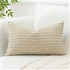 Artscope Federe Cuscini in Velluto a Coste per Divano 40x60cm Copricuscini di Bolla Geometrico Decorativa per Salotto Moderno Cuscino per Camera da Letto, Beige