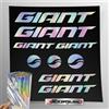 Stickersland - Kit adesivi compatibile con telaio Giant MTB Mountainbike e casco Olografico | decals sticker Decalcomanie bici scritte loghi