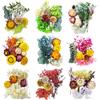 TooGet Fiori Secchi 9 Borse Colore Misto Naturale Fiori Secchi Reali Foglie per L'artigianato Colorate Mini Fiori Piante per fai da te Arte Candela Resina, Artigianato di Gioielli, Decorazioni