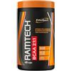 Ethicsport Ramtech BCAA 2:1:1 - Barattolo da 400 Capsule con Vitamine B1-B6 per Energia e Recupero