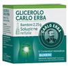 CARLO ERBA GLICEROLO*BB 6CONT 2,25G