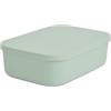 Homéa, Scatola con coperchio in plastica, 2,5 l, 25 x 17,5 x h,7,6 cm, salvia