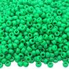 Auvoau 1000 perline pony, 9 mm, in plastica, color arcobaleno, perline per collane, perline per capelli, trecce, per ragazze, portachiavi, creazione di gioielli (verde)