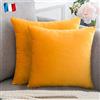 Douceur De Plumes Set di 2 Federe Cuscini 40x40 Giallo Senape Decorativi Tinta Unita in Velluto, Federa Quadrata Moderna e Morbida, Decorazione Soggiorno Divano Camera Letto (2 Giallo Senape)
