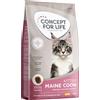 Concept for Life Maine Coon Kitten - 10 kg NUOVO!