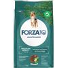 FORZA10 CANE MAINTENANCE ADULT MEDIUM CERVO E PATATE 12KG