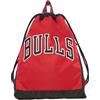 Franco Cosimo Panini NBA, Milwaukee - Zaino Scuola con Coulisse, Zaino Sacca Scuola Unisex per Bambini e Ragazzi con Spallacci Anti-Soffocamento con Tasca con Chiusura ZIP, Colore Verde - Ufficiale NBA