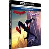 Sony Pictures Spider-Man: New Generation + Across The Spider-Verse [4K Ultra HD