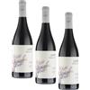 Albino Armani Lagrein Trentino "Claps" Doc - 750 ML (Confezione da 3)