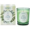 HP ITALIA Nasoterapia Lime e Foglie di Menta Candela Profumata, 180g