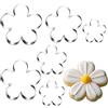 DIPZO Set di 6 Formine per Biscotti a Forma di Fiore, Tagliapasta in Acciaio Inossidabile per Dolci e Decorazione Torte, Stampi a Fiore per Natale, Pasqua, Compleanni, Baby Shower