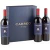 Ambrogio e Giovanni Folonari Cabreo Il Borgo 2020 Folonari Cassa 3x750ml Toscana IGT