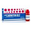 Alfasigma Co-Carnetin B12 500mg + 2mg Soluzione Orosolubile 10 Flaconcini