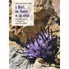 Marcianum Press I fiori, le fiabe e la vita. Documentazione e divagazioni sulla flora alpina
