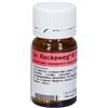 Reckeweg Dr. Reckeweg R71 Rimedio Omeopatico Per Reumatismi 100 Compresse