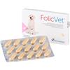 Pharmacross Co Ltd Folivet Mangime Complementare Per Cani E Gatti 15 Compresse