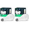 V-TAC 3x Lampadine LED 15W ad Alta Luminosità 1521 Lumen - E27 A65 - Lampadine Nuova Generazione - 3000K Luce Bianco Caldo - Equivalenti a 100W - Box da 3 (Confezione da 2)