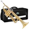 EastRock Set Tromba Oro in Ottone Standard in Sib per Studenti Principianti,Strumento in Ottone con Custodia Rigida,Guanti,Bocchino 7C,Per Principiante,Adulti,Artisti professionisti, Festa(oro)