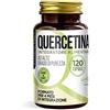 Noebis Pharma Quercetina 120 Capsule - 200 mg per 1 Capsula - Alto Grado di Purezza - 4 Mesi di Integrazione