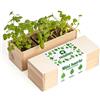 Resetea Mini orto aromatico a base di erbe - Coltiva prezzemolo, basilico e coriandolo a casa | Kit completo con vasi biodegradabili e semi | Ideale per cucina, regalo e principianti | Resetea