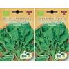 Germisem Biologico Rucola Cultivata Semi di Rucola 6 g (Confezione da 2)