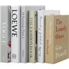 HENGBIRD 6 pezzi di libri decorativi per la decorazione della casa, stile moderno. Libro decorativo con lettere creative in inglese. Libro falso simulato. Libro di stoccaggio per esposizione