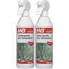 HG Detergente Spray per Lampadari, Cristalli e Vetri, Scioglie lo Sporco ed è Delicato sulle Superfici, 500ml (Confezione da 2)