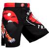 Hardcore Training Japan Tiger Fight Shorts Uomo Pantaloncini da Combattimento Arti Marziali MMA BJJ Boxe Muay Thai Grappling Fitness No Gi (IT, Testo, S, Regular, Regular, Red Black Orange)