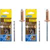 Rapid Scatola da 50 Rivetti in Alluminio da Ø4 x 10 mm, Adatti a Fissare Grondaie, Tubazioni e Lamiere, Include Punta per il Trapano - Rivestiti in Rame (5001462) (Confezione da 2)