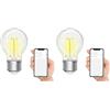 Levitantes Lampadina a filamento intelligente wifi, lampadina sferica G45 compatibile con Alexa e Google Home, lampadina E27 4.5W 470 Lm, Wi Fi Smart bulb trasparente (G45) (Confezione da 2)