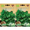 Germisem Biologico Coriandrum Sativum Semi 6 g (Confezione da 2)