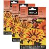 Semillas Batlle Gazania Ibrida Varie (Confezione da 3)