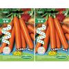 Germisem Carrot Mix Trio Carote Semi su Nastro da 6 m (Confezione da 2)
