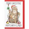 Sketchy Print Co - Divertente biglietto di Natale - Babbo Natale Claws - Biglietto di Natale a tema gatto per moglie, marito, migliore amico