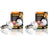 Exo Terra PT2196 Ex Intense Basking Spot 25 W (Confezione da 2)
