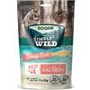 Bogar - Simply Wild - Snack gatti - Cibo per gatti - Integratore alla normale alimentazione - Stick gatto cremoso gusto Salmone - Per i momenti di interazione - 5x15g (Confezione da 5)