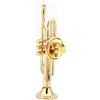 Yuecoom Spilla a Tromba, Squisita Spilla a Forma di Strumenti Musicali Clip per Abito da Donna con Custodia per Regalo(S)