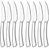 HaWare Set di 8 coltelli da bistecca, in acciaio inox, coltello da tavola, coltello da burro, set di posate seghettate, per casa, cucina/ristorante, manico ergonomico, lucidato a specchio e lavabile