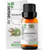 SenseLAB Olio essenziale di eucalipto - Olio di eucalipto Terapeutico Naturale e Puro al 100% per Umidificatore Diffusore di Aromaterapia - Cura Dei Capelli e Protezione esterna (10 ml)