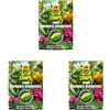 COMPO Turbo Rinverdente, Concime per Curare l'Ingiallimento Fogliare, 20 g (Confezione da 3)