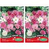 Germisem Sensation Dwarf Mix Semi di Cosmos 1 g (Confezione da 2)