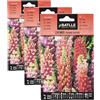Semillas Batlle Lupinus perenne Vario (Confezione da 3)
