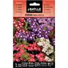 Semillas Batlle Verbena Nano compatta (Confezione da 5)