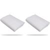 Biotop - Panno Termico antigelo - Coperta Termica per Tutti i Tipi di Piante e arbusti - Tessuto Morbido, Resistente e Durevole - Dimensioni: 4 x 5 m 30 g