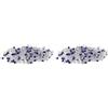 Amtra Wave A4022505 Crystal Sand (Confezione da 2)